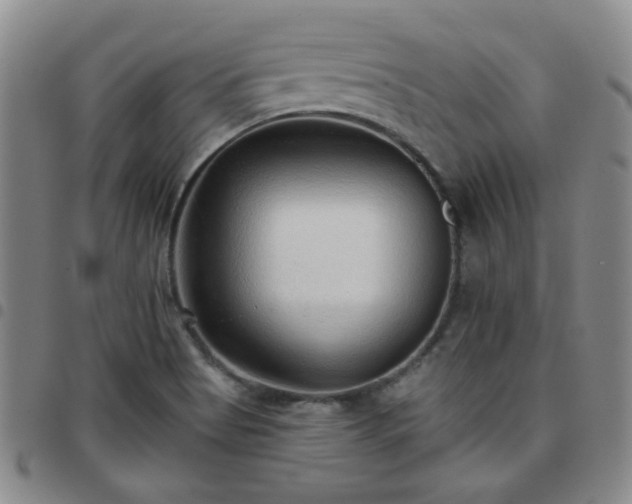 X0000097771513200803141733