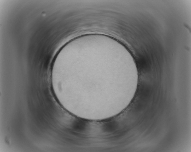 X0000097771514200803141733