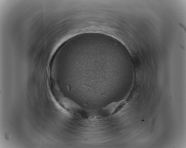 X0000097771515200803141734