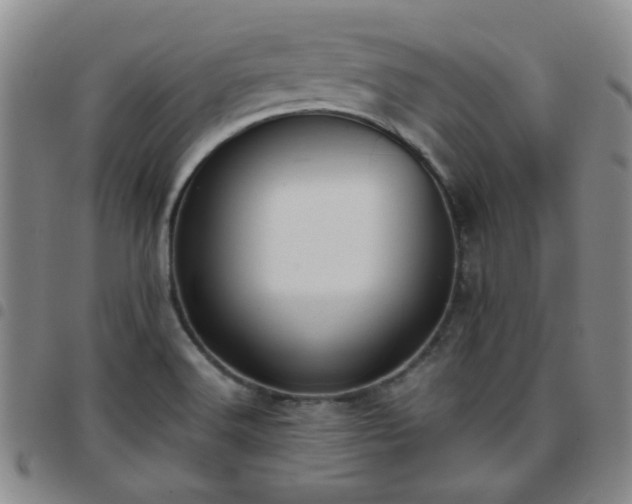 X0000097771516200803141734