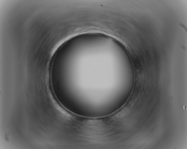 X0000097771518200803141734