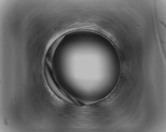 X0000097771520200803141734