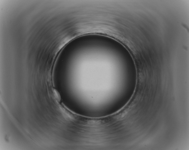 X0000097771521200803141734