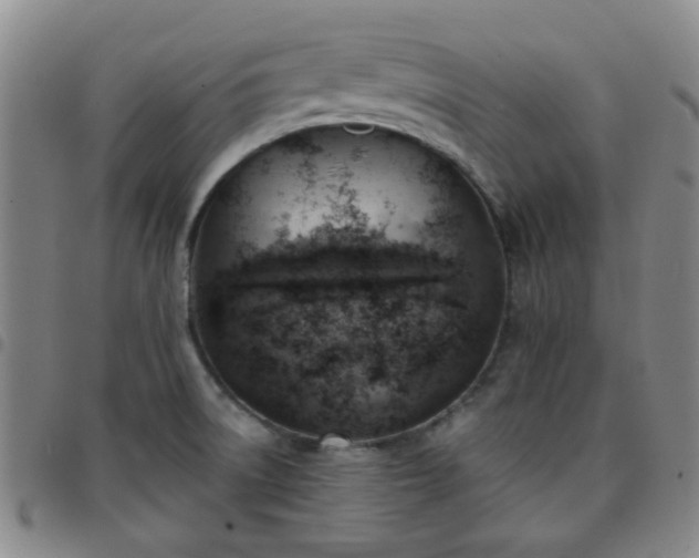 X0000097771522200803141734