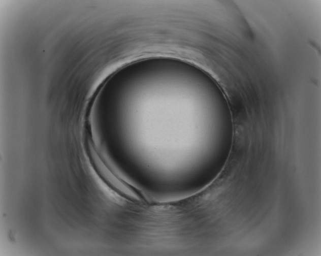 X0000097771523200803141734