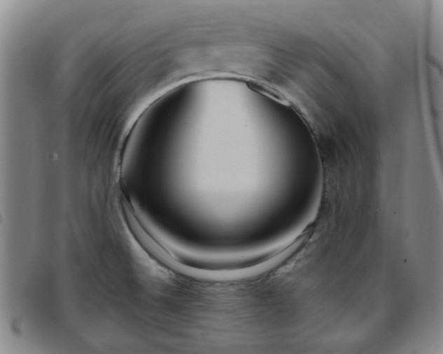 X0000097771524200803141734