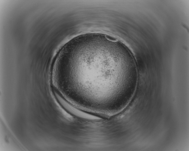 X0000097771525200803141734