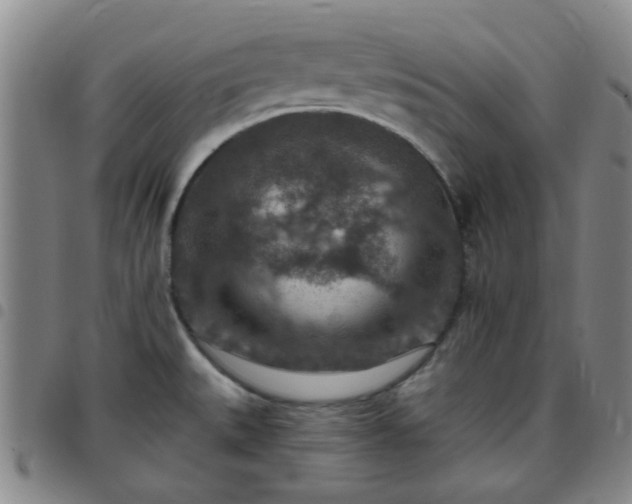 X0000097771527200803141734