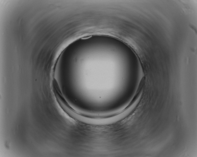 X0000097771528200803141734
