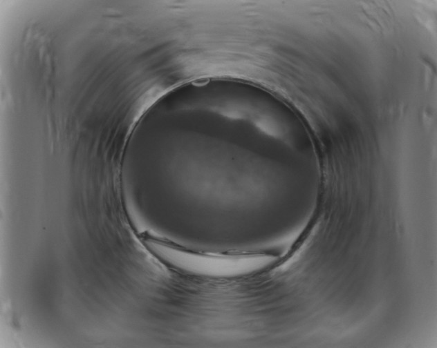 X0000097771529200803141734