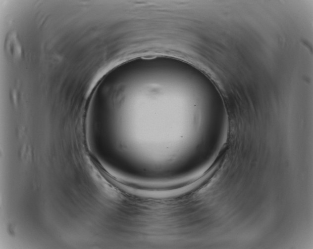 X0000097771530200803141734