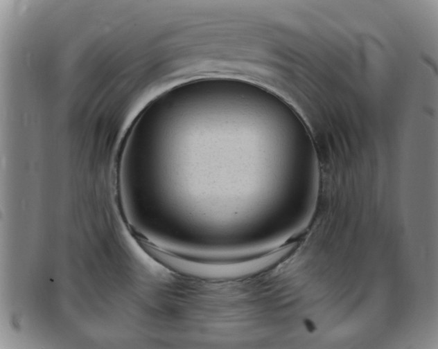 X0000097771531200803141734