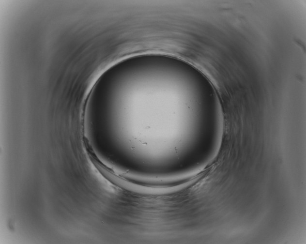 X0000097771532200803141734