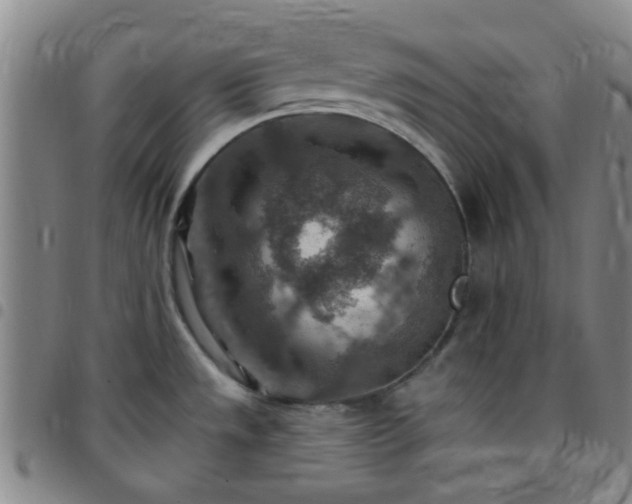 X0000097771533200803141734