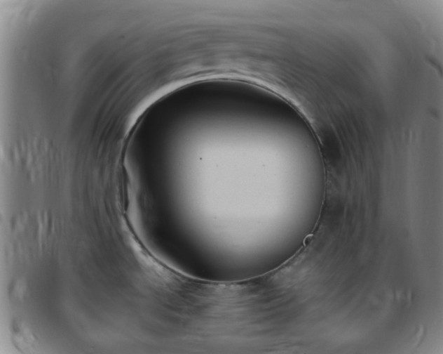 X0000097771534200803141734