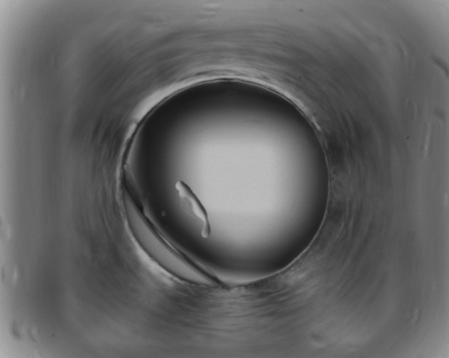 X0000097771535200803141734