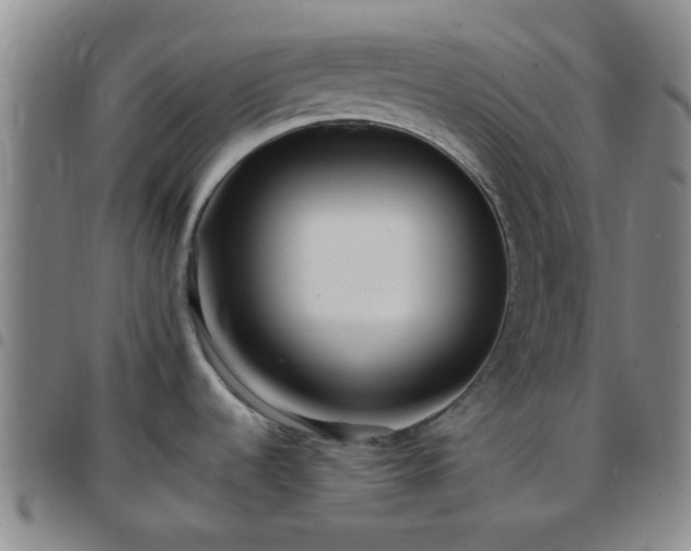 X0000097771536200803141734