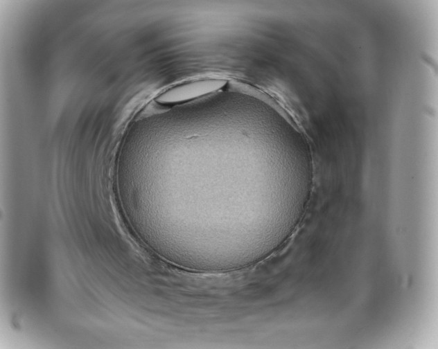 X0000097770001200803211747