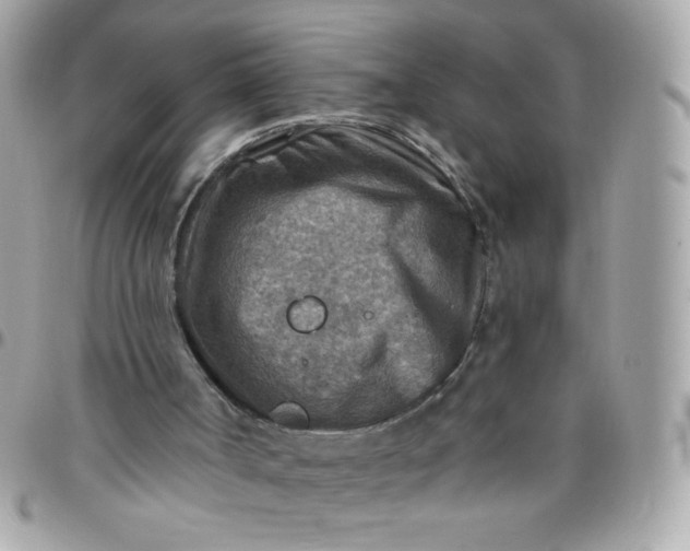 X0000097770002200803211747