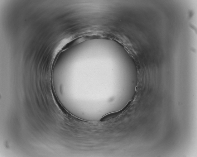 X0000097770003200803211747