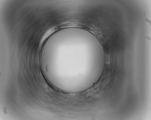 X0000097770004200803211747