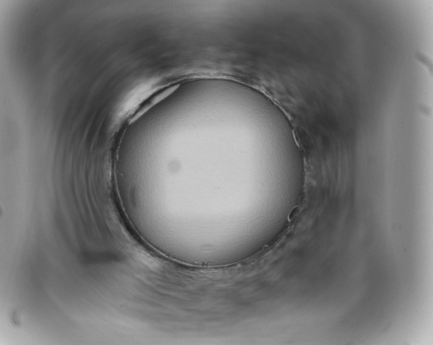 X0000097770005200803211747