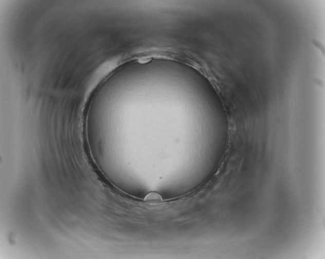 X0000097770006200803211747