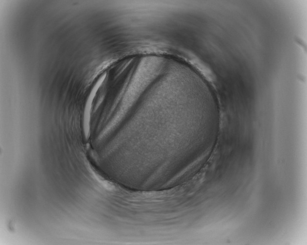 X0000097770009200803211747