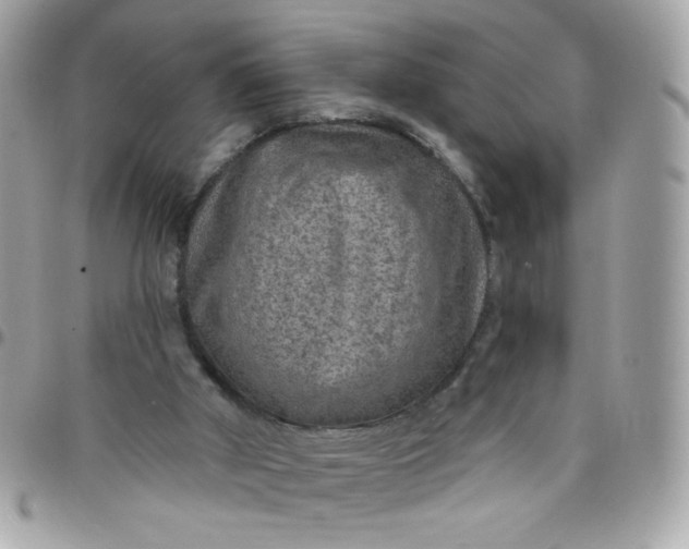 X0000097770010200803211747