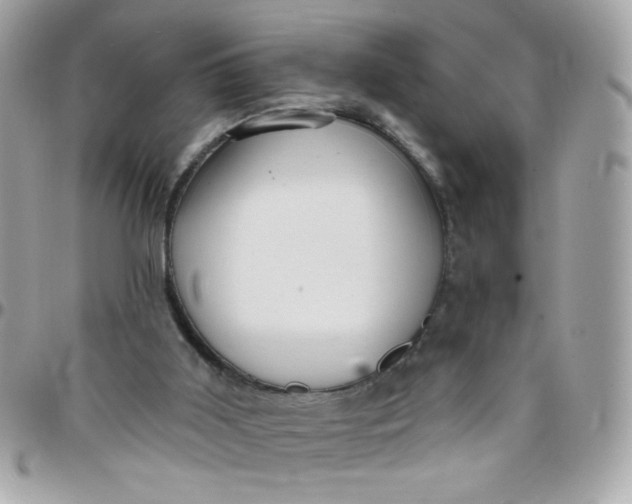 X0000097770011200803211747