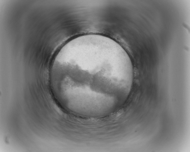 X0000097770012200803211747