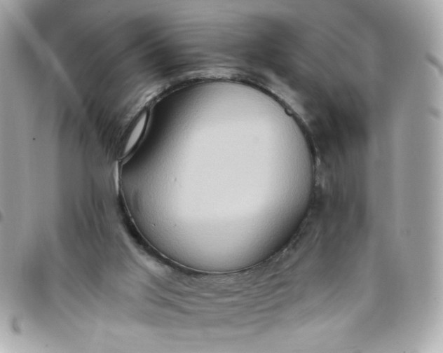 X0000097770013200803211747