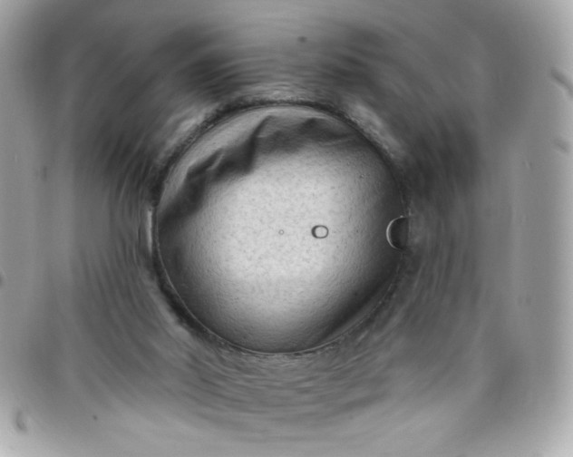 X0000097770014200803211746