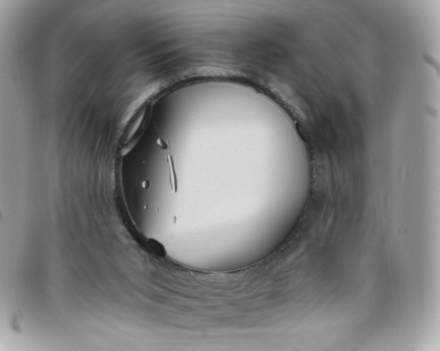 X0000097770015200803211746