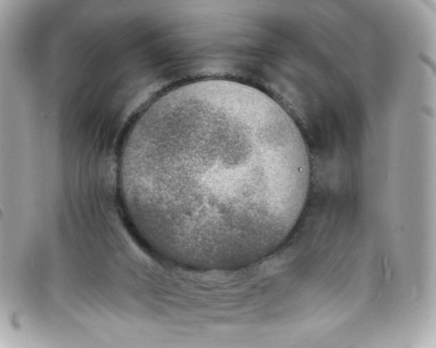 X0000097770016200803211746