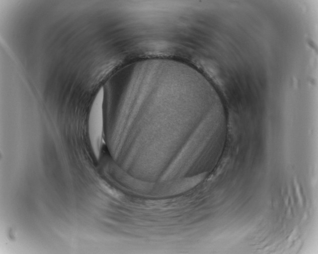 X0000097770017200803211746