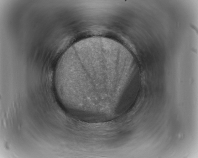 X0000097770018200803211746