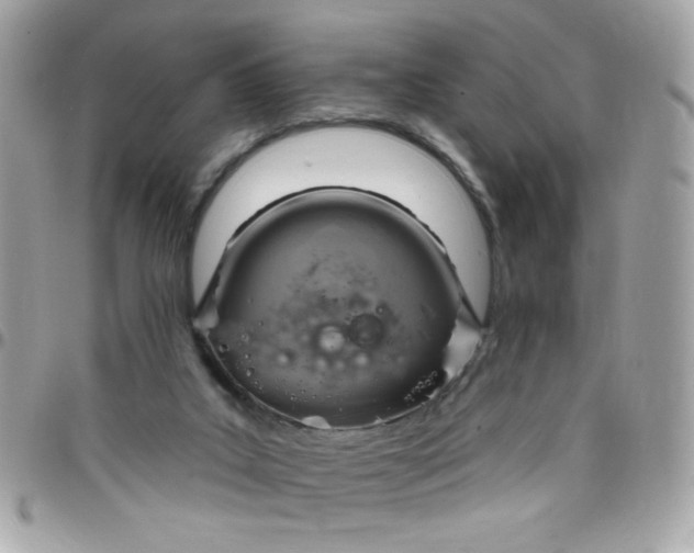 X0000097770019200803211746