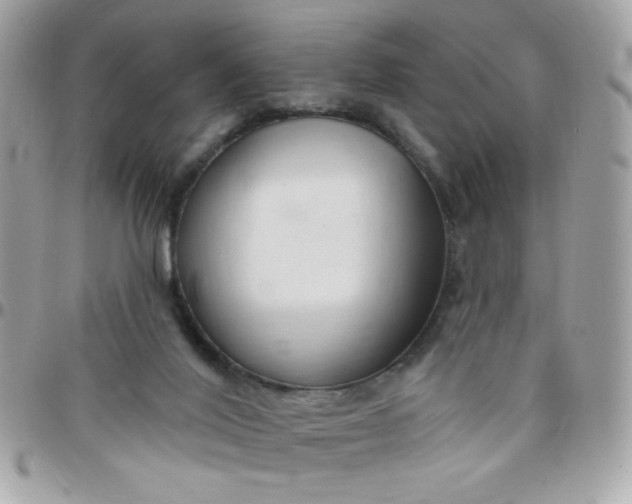 X0000097770020200803211746