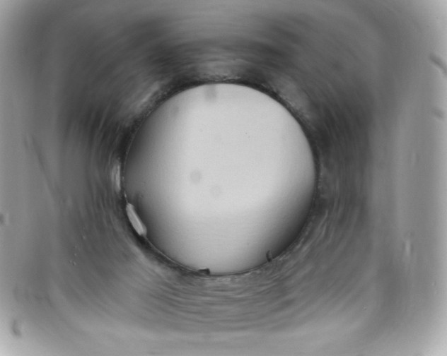 X0000097770021200803211746