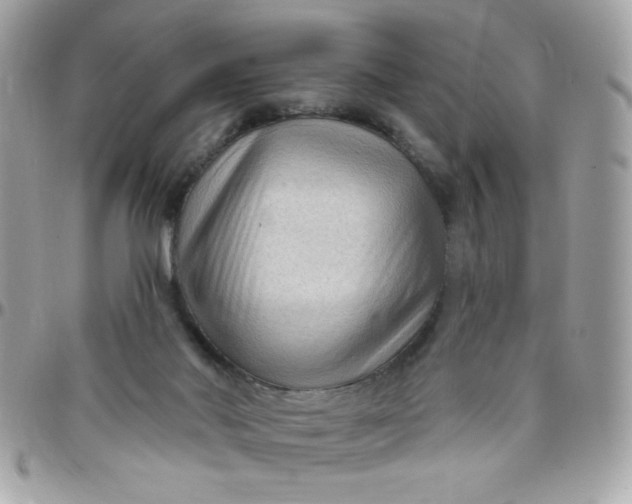 X0000097770022200803211746