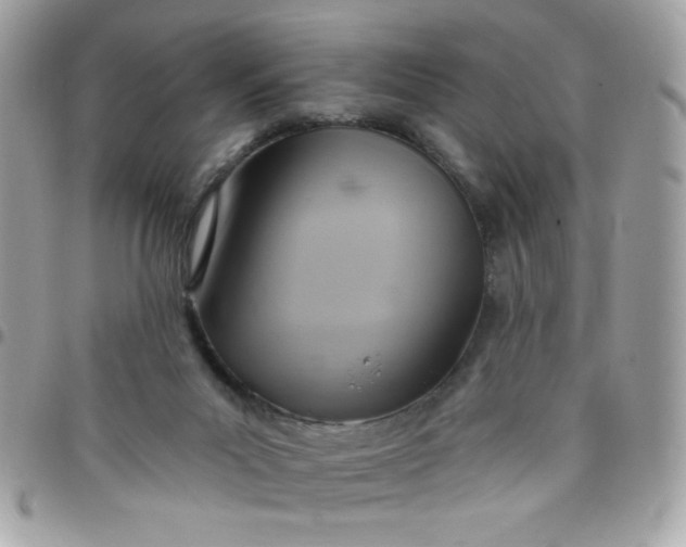 X0000097770023200803211746