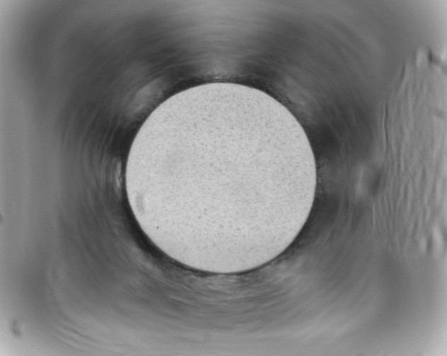 X0000097770024200803211746