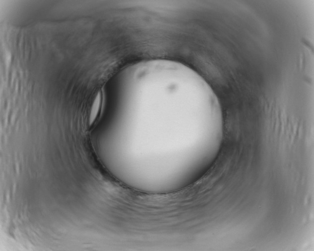 X0000097770025200803211746