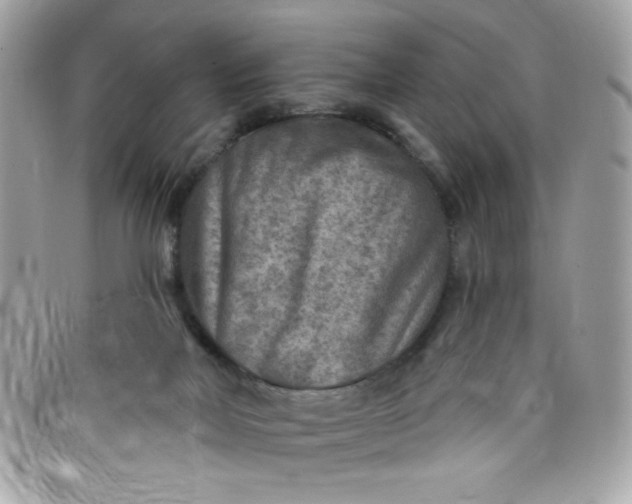 X0000097770026200803211746