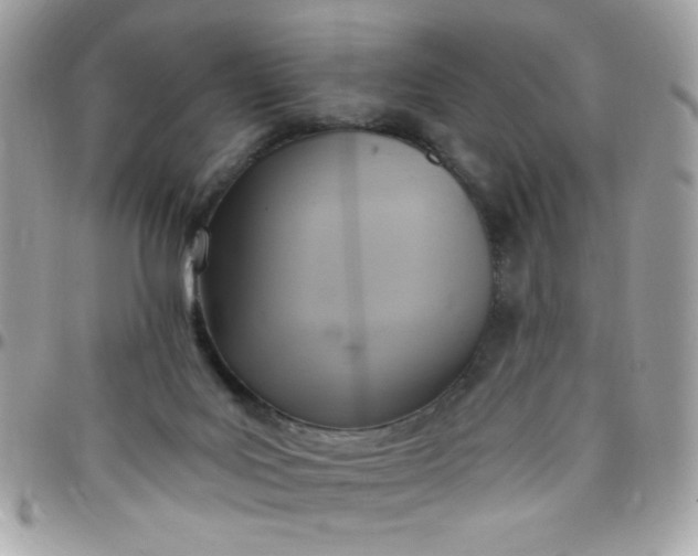 X0000097770027200803211746