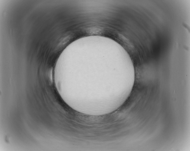 X0000097770028200803211746