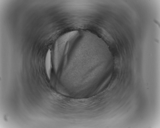 X0000097770029200803211746