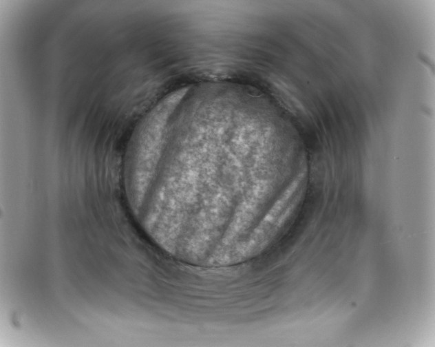 X0000097770030200803211746