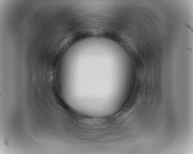 X0000097770032200803211746